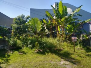 Terreno perto da praia com bananeiras